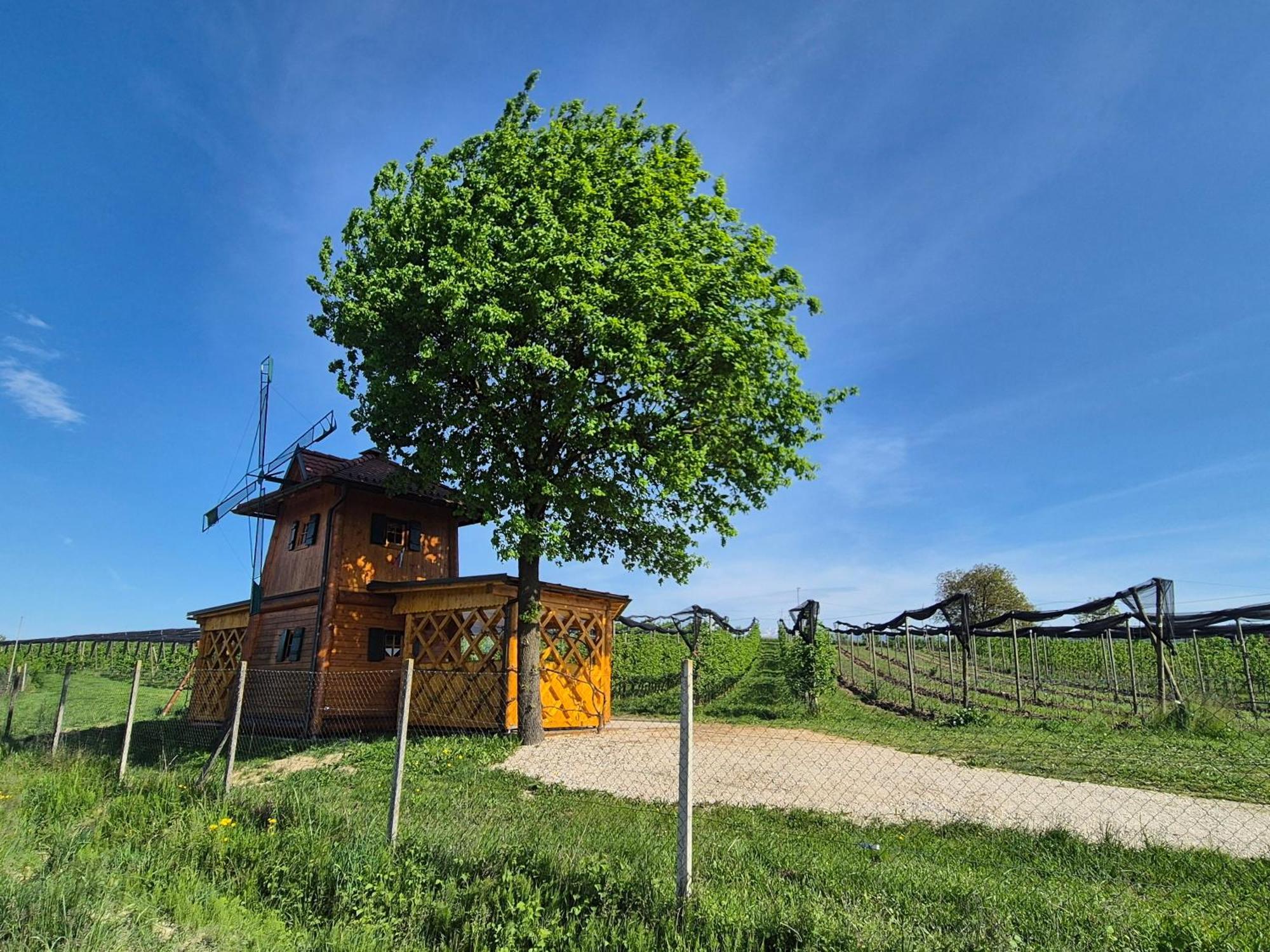 Unique Wooden Holiday House In Nature Lukovica pri Domžalah المظهر الخارجي الصورة